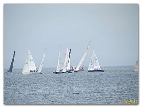 Regata_07.2017 (17)